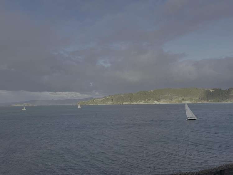 62 Evans Bay Parade Roseneath_31