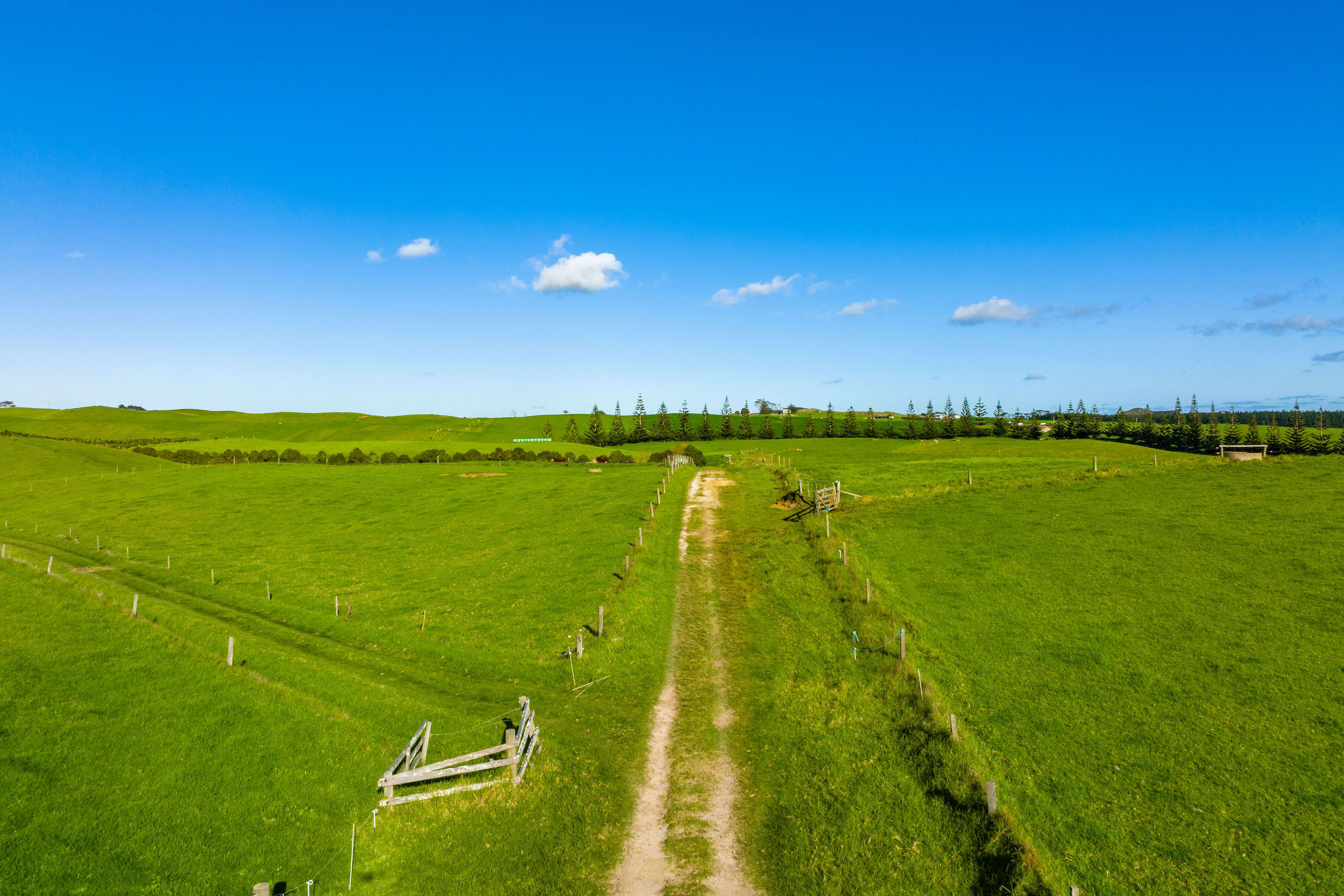 1000 Redhill Road Te Kopuru Kaipara Rural Property For Sale One