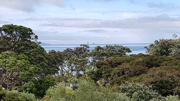 329 Blind Bay Road Great Barrier Island (Aotea Island)_15