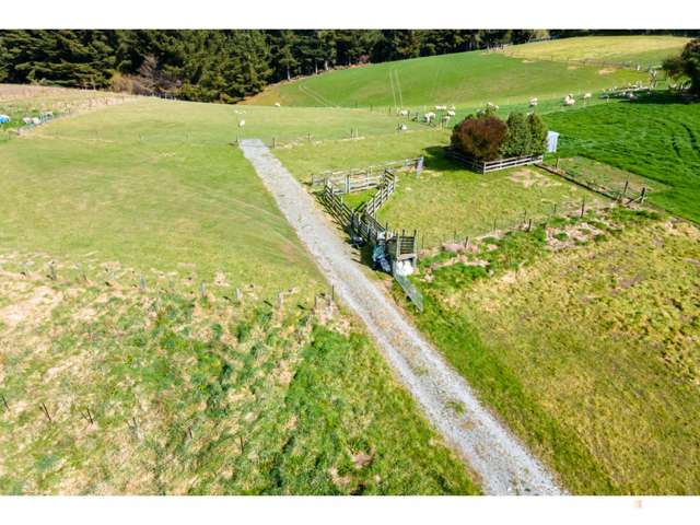 Downs Road Geraldine_3