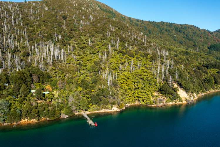 Lot 2 North West Bay Pelorus Sound_6