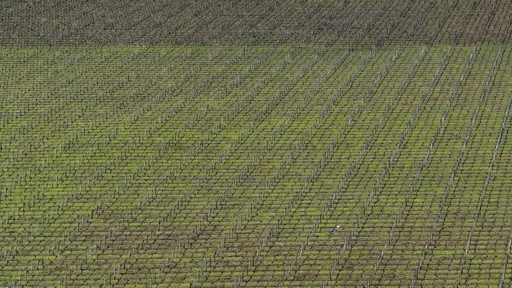 592 Awatere Valley Road Awatere Valley_9