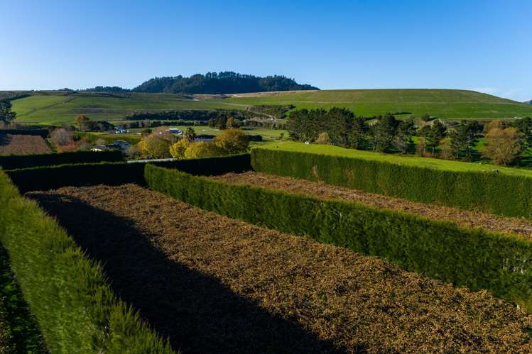 25b Fisher Road Waihi_6