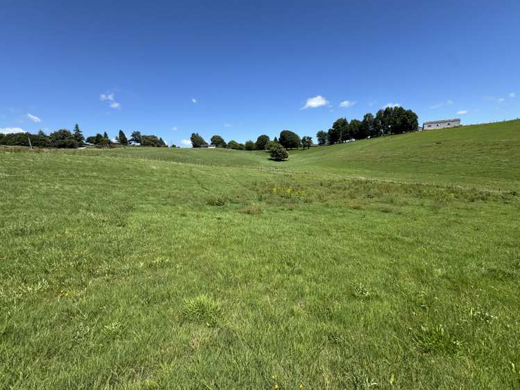 Lot 1 Pokuru Road Rd 3 Te Awamutu_8