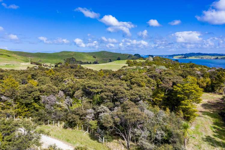 239 Rangiora Road Kaiwaka_4