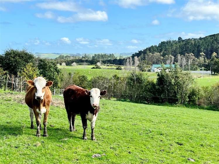 34 Naumai Road Tauhoa_27