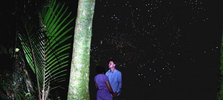 444 Wentworth Valley Road Whangamata_10