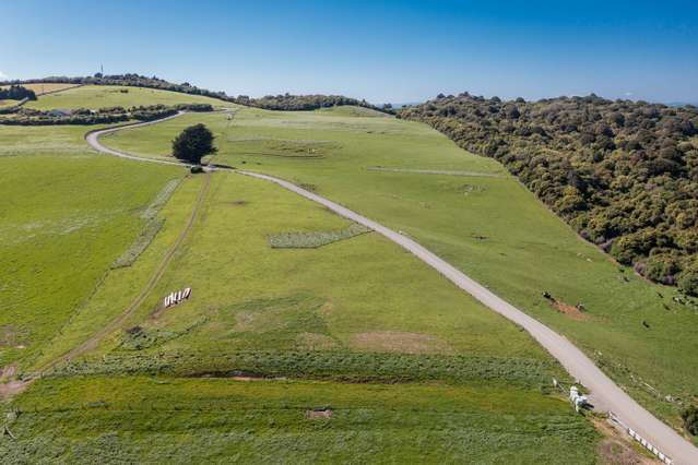 167 Kahikatea Road Winton Surrounds_4