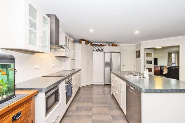 53 Hoffman Court Waikiwi_2