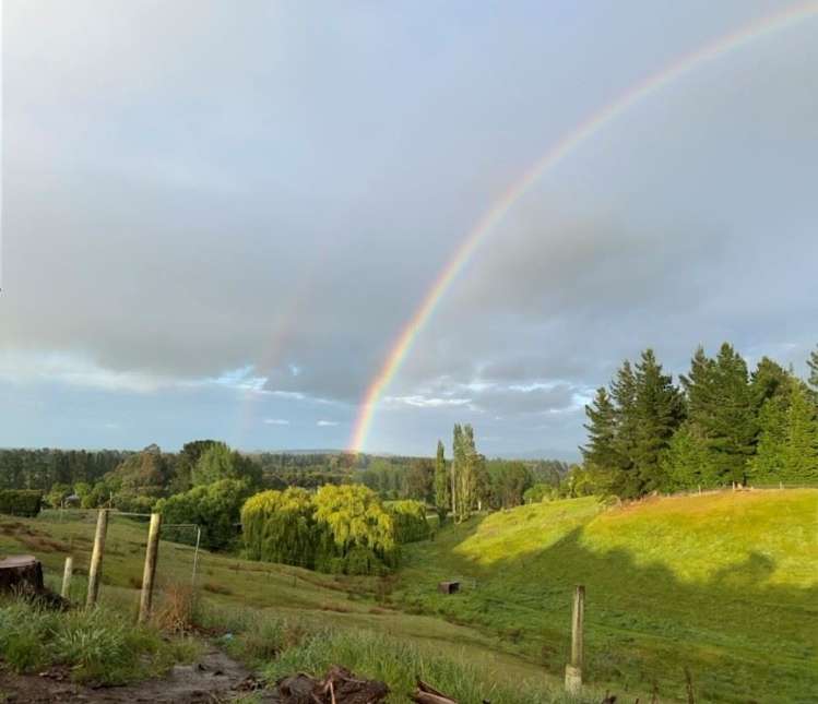 554 Carrs Road Loburn_24