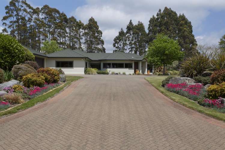 5 Mark Wynd Maunganamu_5