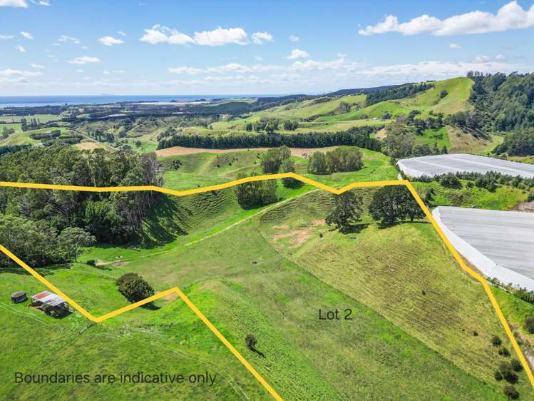 1-6/461 Otamarakau Valley Road Pukehina_7