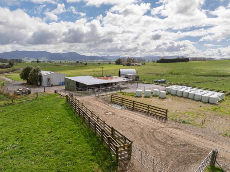 652 Tainui Road Morrinsville_4