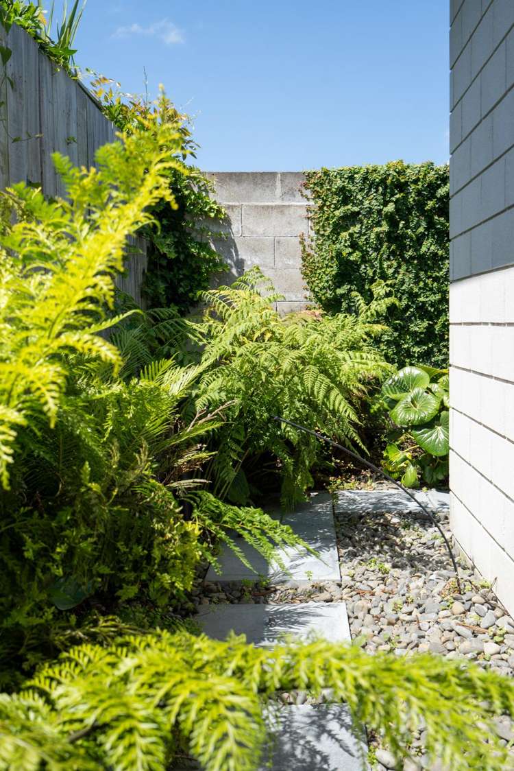 9A Keats Terrace Cambridge_15