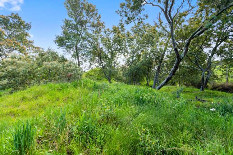 Wards Line Greytown_2