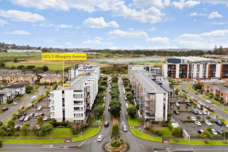 G03/3 Bluegrey Avenue Stonefields_12