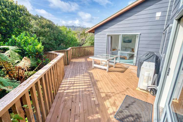 6 Ross Place Te Miko_10