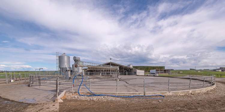 897 Buckleys Road Wakanui_13