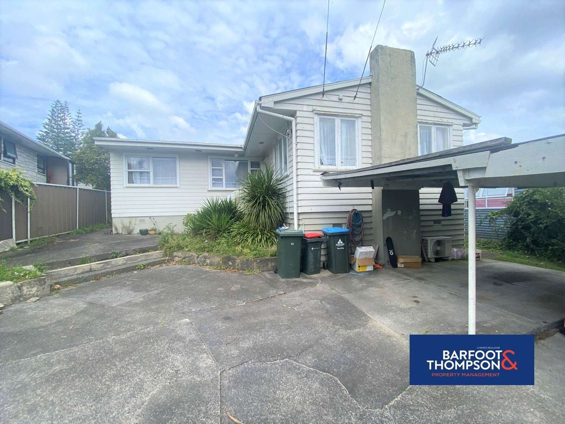 58 Webster Avenue Mount Roskill_0