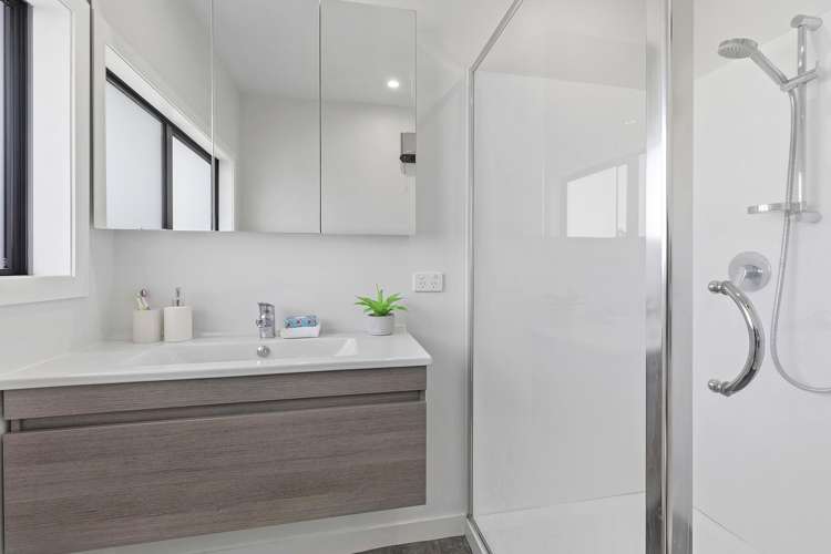 103a Hobart Street Miramar_11