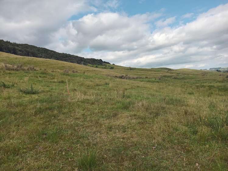 Lot 2 & 3/36 Te Moho Road Taipa_6