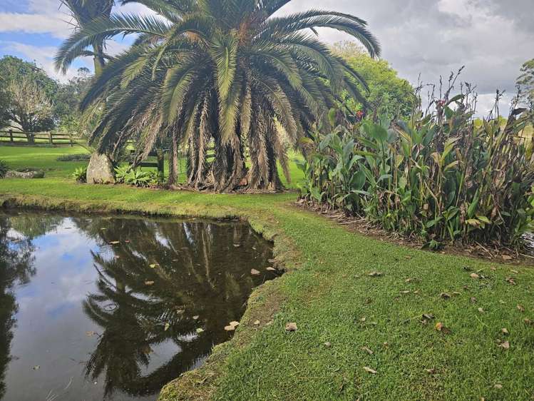 23 Taheke Road Kaikohe_10