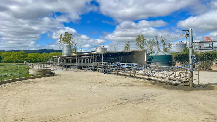 650 Koi Flat Road Gore Surrounds_5