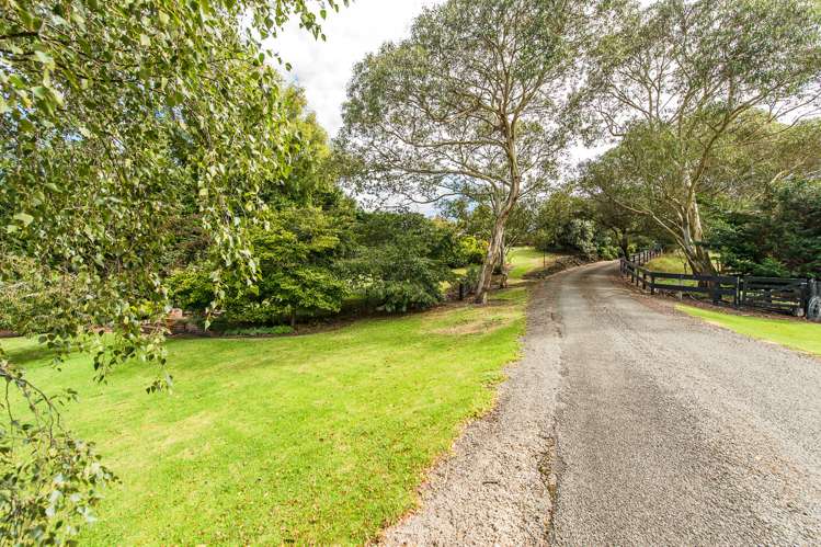 26 Montgomery Road Westmere_23