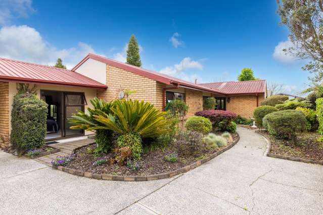 25 Bailey Avenue Claudelands_2