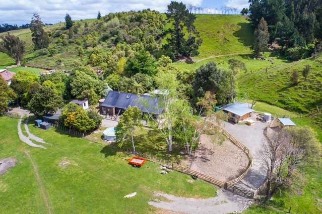 275 Pohangina Road Ashhurst_2