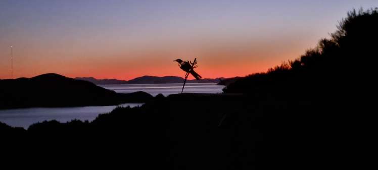 17 Mo Street Camborne_20