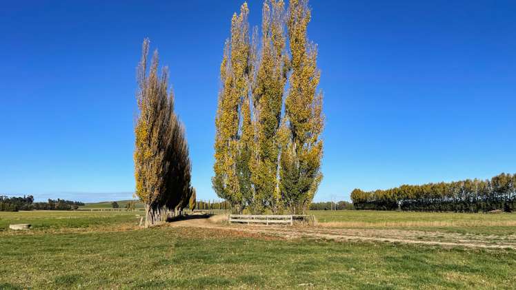 60 Moncurs Road West Otago Surrounds_7