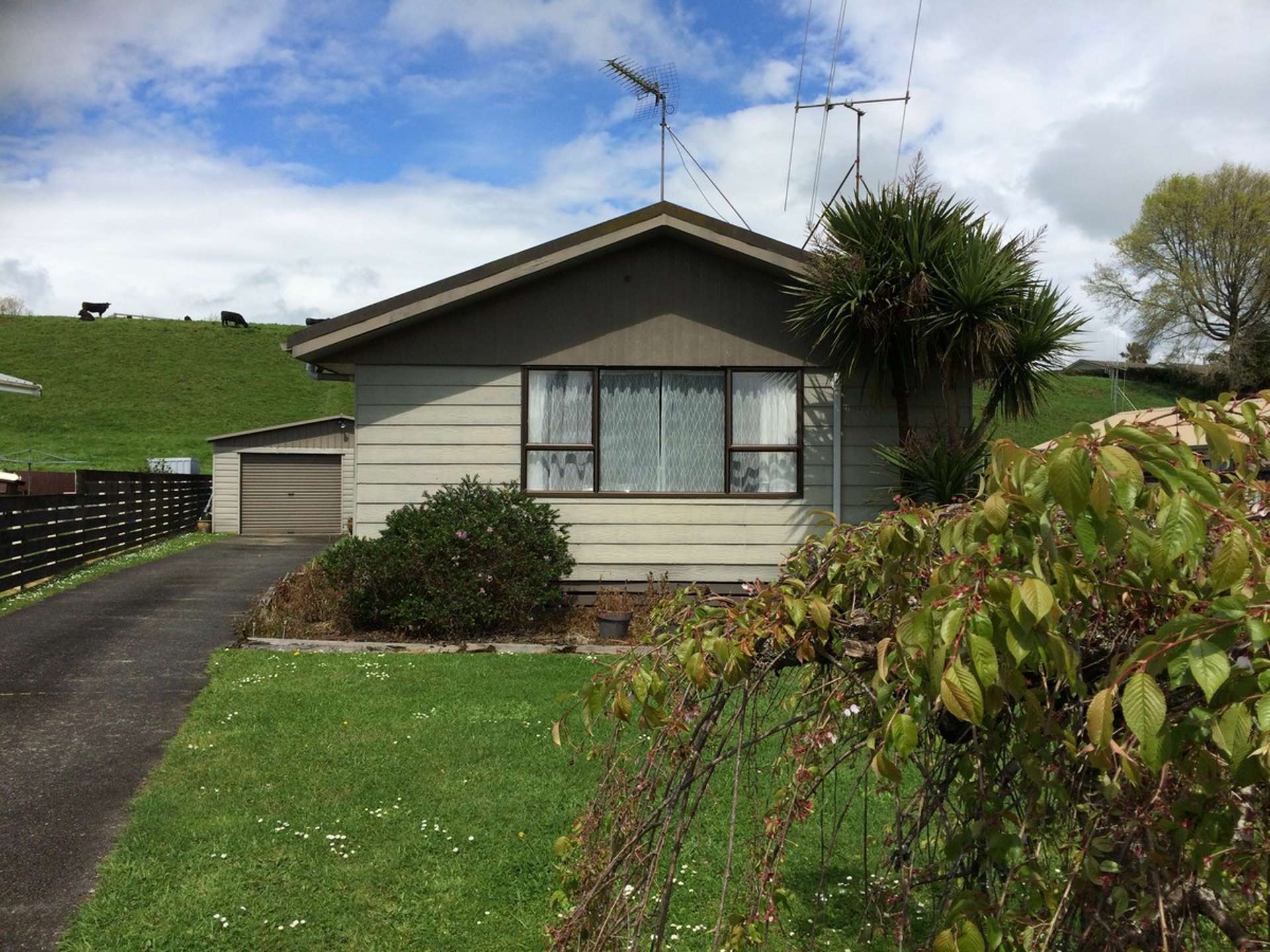 201 Sinclair Terrace Te Awamutu_0