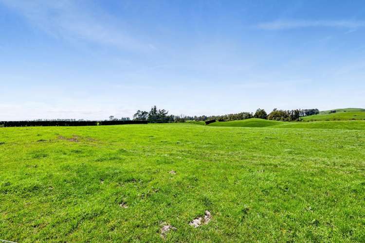 539 Kent Road Korito_26