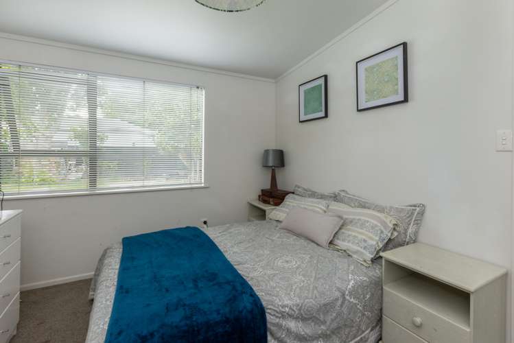 1 Mcdonald Street Napier South_11