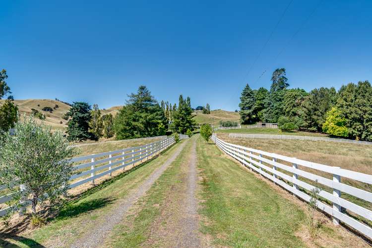 1569 Puketitiri Road Puketapu_18