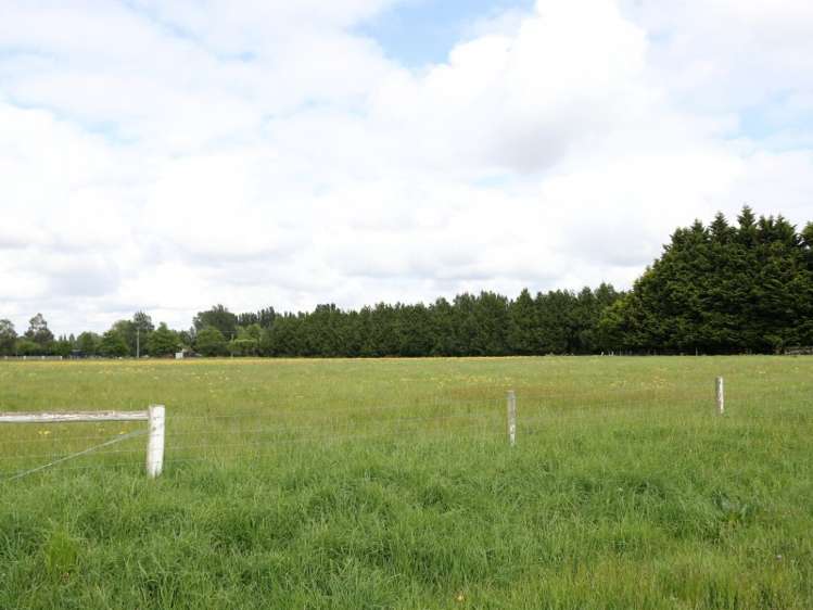 86 Carters Terrace Tinwald_10