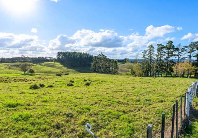 1549 Dairy Flat Highway Dairy Flat_4