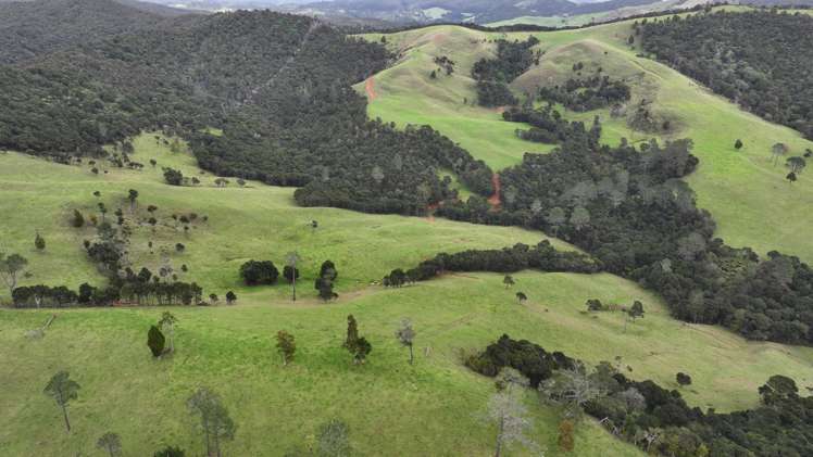 140 Kenana Road Mangonui Surrounds_30