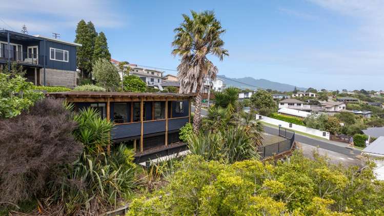 20A Violet Street Raglan_13