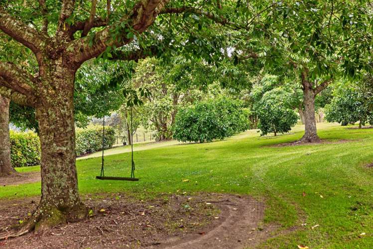 26D Wainui Road South Whakamarama_25