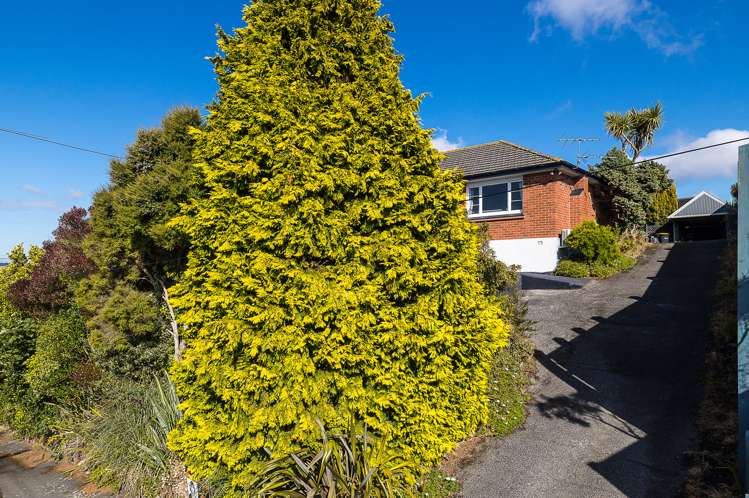 98 Dunrobin Street Waverley_19