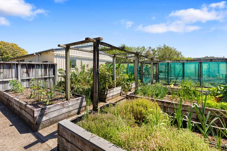 10 Walden Lane Wairoa_25