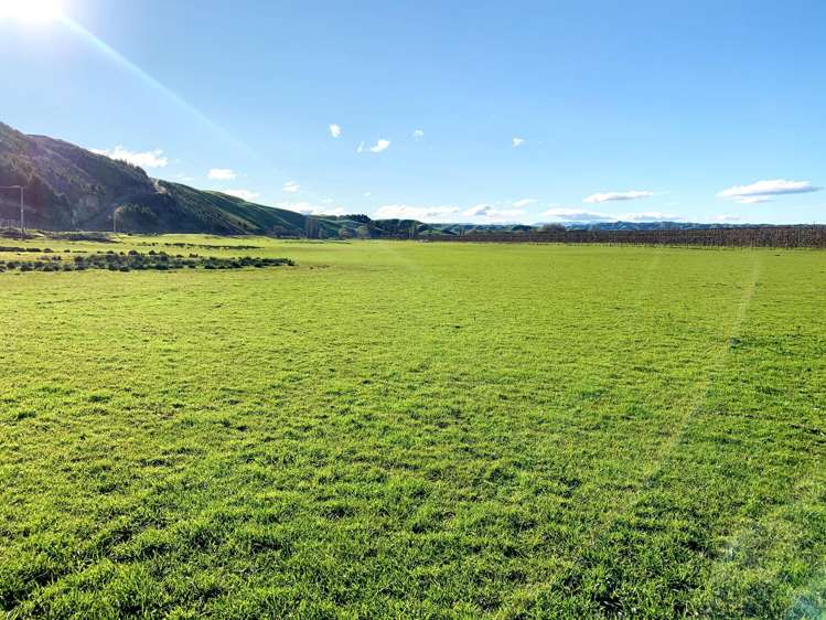 Pirau Road Fernhill_9