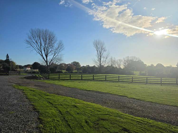 29 Mokena Kohere Street Manakau_5