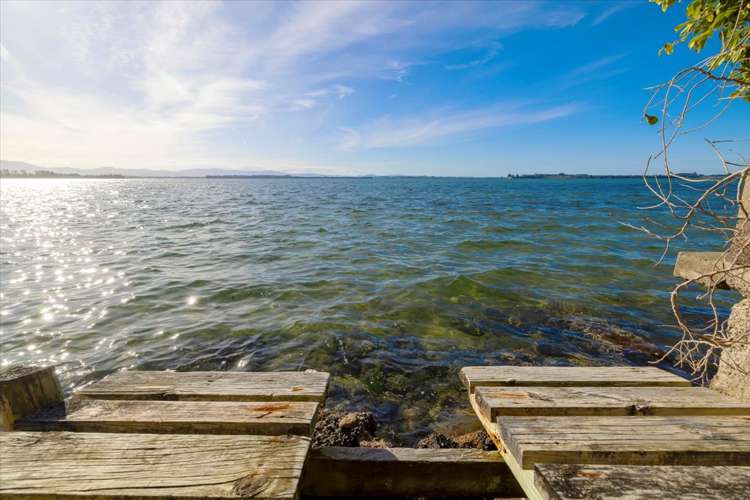 117 Matua Road Matua_16