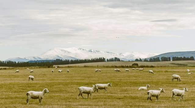 305 Bypass Road Ranfurly_1