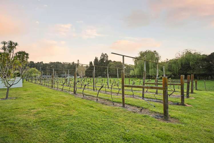 90D Lee Martin Road Tamahere_29