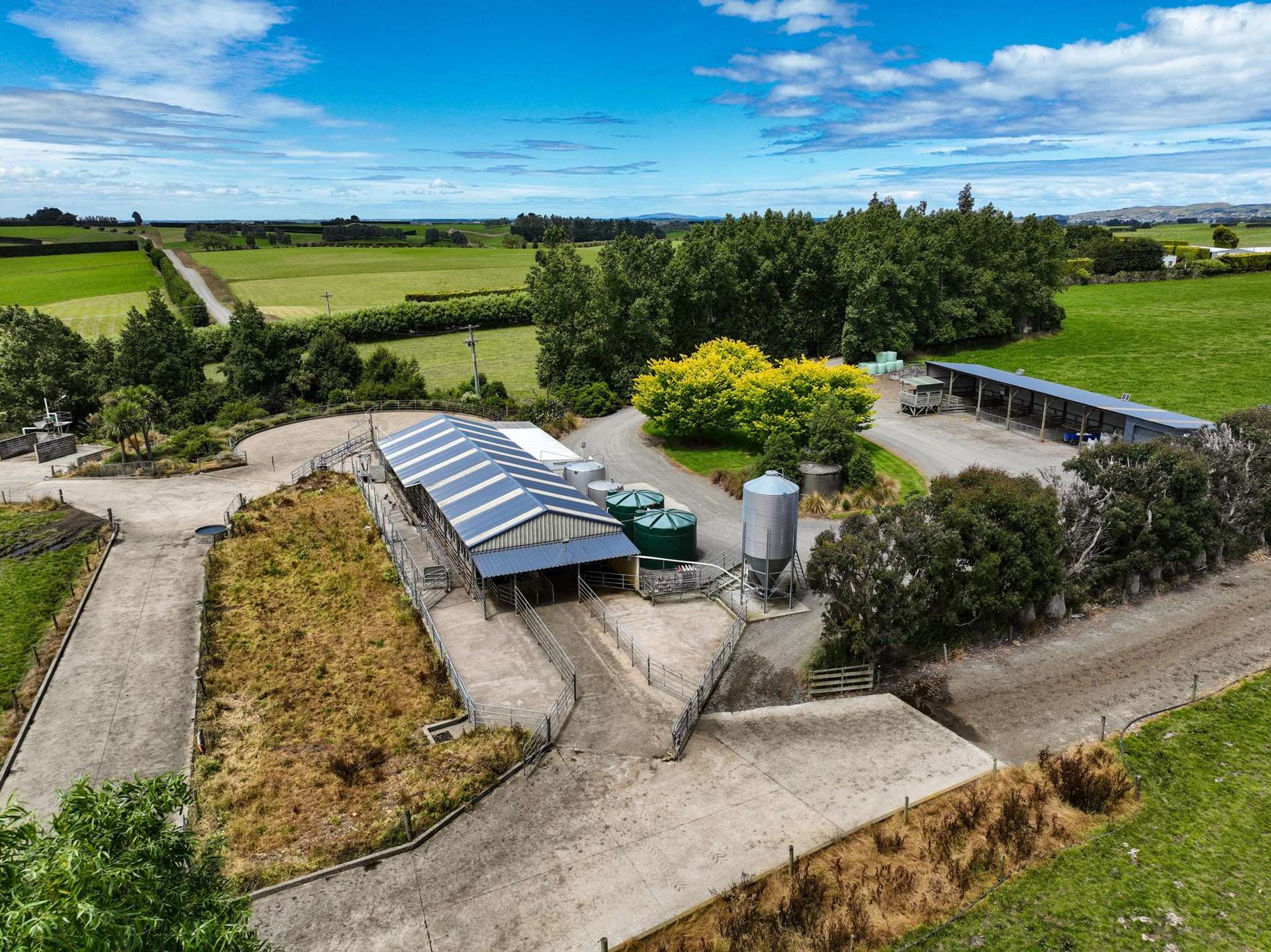 318 Waipango Ermedale Road Gummies Bush_0