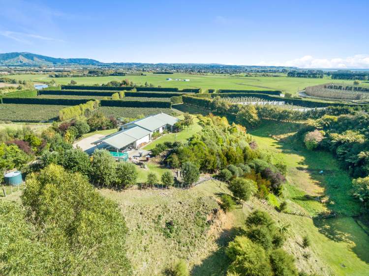 155b Gow Road Opotiki Coastal_29